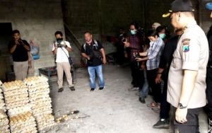 Gunakan Telur Busuk Gagal Tetas, Pabrik Kue di Lumajang Digerebek Polisi