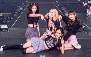 Jumlah Followers Fantastis Instagram Member BLACKPINK Picu Komentar Julid