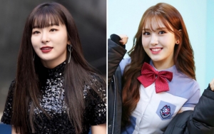 Foto Seulgi Red Velvet Pamer Gaya Rambut Baru Dapat Komentar Ini dari Jeon Somi
