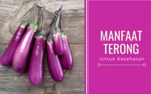 Mampu Menutrisi Otak Hingga Cegah Kanker, Ini 7 Manfaat Luar Biasa Terong Untuk Kesehatan
