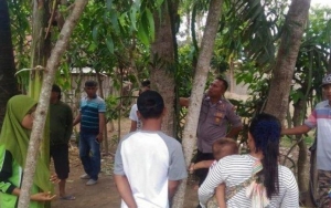 Bikin Heboh Hingga Jadi Dirukyah, Ini Penjelasan Ilmiah Soal Pohon 'Nangis' di Jember