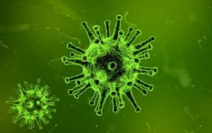 Virus Corona Diduga Berasal Dari Ular, Begini Kata Ahli Toksikologi