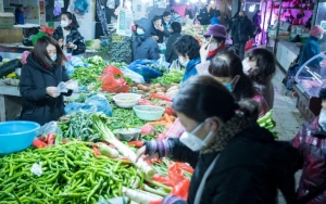 Kuliner Ekstrem dari Pasar Wuhan yang Diduga Sumber Virus Corona: Merak Sampai Koala