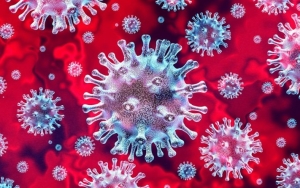 Terus Timbulkan Korban, Asal Wabah Virus Corona Akhirnya Terungkap