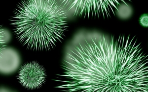 Semakin Melonjak, Virus Corona Telah Memakan 131 Orang Korban Jiwa