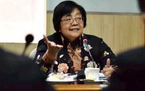 Kementerian Lingkungan Hidup Disebut Putus Kerja Sama Dengan WWF Indonesia Secara Sepihak