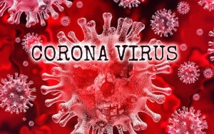 Dokter Jelaskan Bagaimana Virus Corona Bisa Renggut Nyawa Seseorang