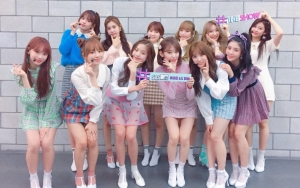 IZ*ONE Bagikan Teaser dan Umumkan Tanggal Comeback, Netizen Justru Minta Bubar