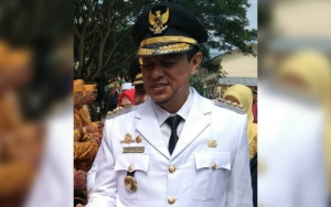 Pro-Kontra Ganja Jadi Komoditas Ekspor, Bupati Gayo Lues Justru Mendukung