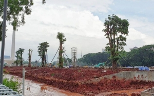 'Bangkai' Mahoni Monas Dibiarkan Mangkrak di Gudang, DKI Yakin Tak Ada Nilainya