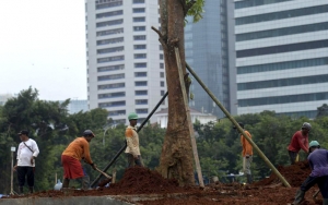 Pemprov DKI Lakukan Penghijauan Di Monas: Harga Satu Pohon Rp8,5 Juta