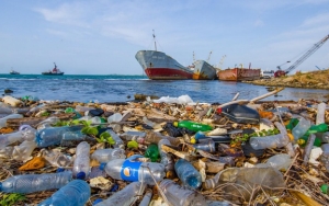 RI Darurat Pencemaran Laut, Greenpeace Desak Pemerintah Ikut Perjanjian Internasional