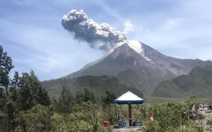 Sempat Erupsi, Kini Abu di Lereng Merapi Telah Disapu Hujan
