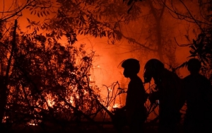Peneliti Prancis Diduga Dideportasi Usai Beber Data Karhutla RI, Imigrasi Cek Kebenaran