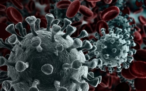 Sebarkan Hoaks Virus Corona Di WA, Warga Malaysia Didenda Rp23 Juta