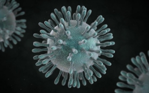 Virus Corona Mulai Invasi Afrika, Mesir Konfirmasi Kasus Pertama