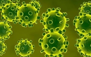 Korut Perpanjang Karantina Warga Asing Hingga Sebulan Cegah Virus Corona