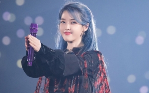 Agensi IU Berikan Update Soal Kasus Hukum dengan Netizen Julid, Tuai Respon Seperti Ini