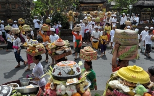 Banyak Babi Terjangkit Virus, Pemprov Bali Pastikan Daging Aman Dikonsumsi di Hari Raya Galungan