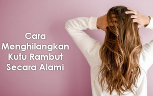 Lebih Aman dan Tak Perlu Habiskan Banyak Biaya, Ini 8 Cara Alami Untuk Menghilangkan Kutu Rambut