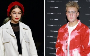 Gigi Hadid Amuk Jake Paul Habis-Habisan Gara-Gara Hina Zayn Malik 