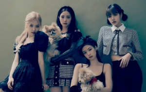 BLACKPINK Belum Punya Full Album, Niat YG Debutkan Girl Grup Baru di 2020 Tuai Kritikan