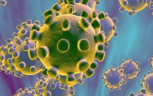 Dokter AS Sebut Virus Corona Bisa Hidup 9 Hari di Benda Mati, Begini Tanggapan Ahli