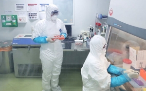 Kabar Baik! Kasus Virus Corona Di Tiongkok Menurun Secara Signifikan