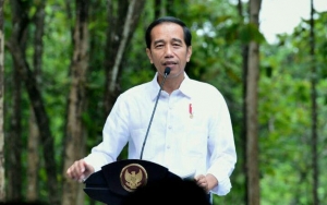 Jokowi Minta Masyarakat Tetap Tenang: Hampir Semua Pasien Corona Bisa Sembuh