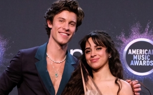 Romantisnya Shawn Mendes Beri Kejutan Pesta Ulang Tahun Bertema Cinderella untuk Camila Cabello