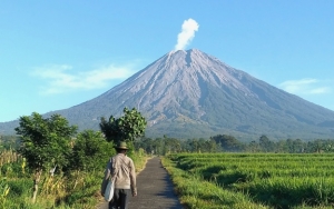 Gunung Semeru Muntahkan Lava Pijar, BPBD Sebut Radius Aman 1 Km