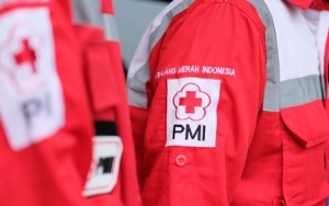 Jadi Pintu Masuk Turis ke RI, PMI Minta 10 Provinsi Ini Siaga Corona