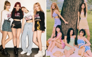 Heboh 'BLACK VELVET', Begini Jadinya Jika BLACKPINK dan Red Velvet Satu Grup