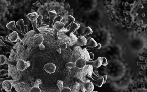 Viral Cuitan Soal Virus Corona Dari Tahun 2013, Warganet Gonjang-Ganjing