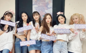 A Pink Dilaporkan Sedang Dalam Tahap Akhir Persiapan Comeback, Agensi Berikan Tanggapan