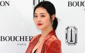 Kucing Mendiang Sulli Kini Tak Lagi Bersama Heechul Tapi Diadopsi Teman Dekatnya Ini