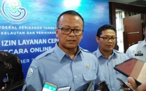 Edhy Prabowo Putuskan Rombak Larangan Ekspor Lobster di Era Susi