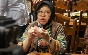 Surabaya Masuk Zona Merah Covid-19, Walkot Risma: Memang, Karena PDIP