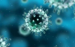 50 Persen Provinsi di Indonesia Ternyata Sudah Terpapar Virus Corona