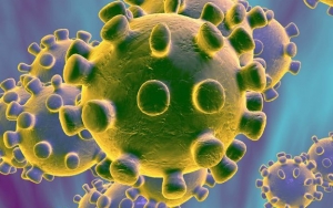 Corona Bisa Bertahan di Suhu Tertentu, Pakar Sebut RI Aman Dari Sebaran Virus Lewat Udara