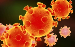 Virus Corona Disebut Tak Tahan Panas, Mitos Atau Fakta?