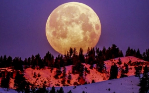 Bulan 'Pedekate' ke Bumi, 8 April Bakal Ada Fenomena Supermoon