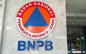 BNPB Akui Data Kasus Corona Pemerintah Pusat dan Daerah Tak Sama