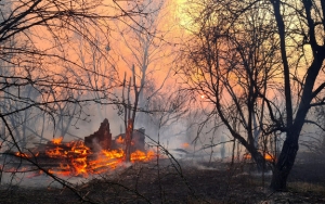  Chernobyl Kebakaran, Level Radiasi Melonjak 17 Kali Lipat
