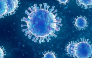 Tak Pernah Disadari, 8 Kebiasaan Kecil Ini Ternyata Berbahaya Dan Dapat Tularkan Virus Corona!