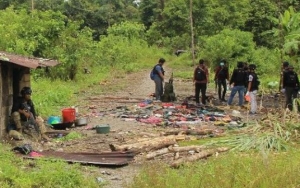 Diduga Rumahnya Jadi Tempat Persembunyian KKB, Sekuriti Freeport Ditetapkan Tersangka