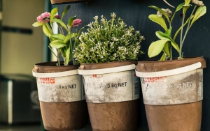 Gampang Dan Enggak Butuh Banyak Ruang, Berikut 8 Bahan Makanan Yang Bisa Ditanam Dalam Pot!