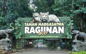 Pandemi Corona, Satwa-Satwa Justru ‘Rileks’ Di Kebun Binatang Ragunan