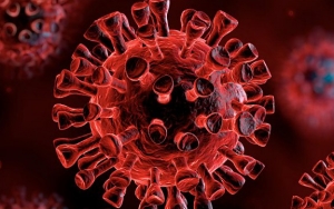 WHO Klaim Virus Corona Lebih Mematikan 10 Kali Lipat Dibandingkan Flu Babi, Begini Penjelasannya