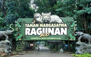 Sebulan 'Libur' dari Kunjungan Publik, Binatang di Ragunan Lebih Rileks